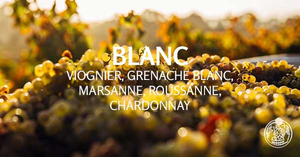 <p><b>Blanc :</b></p> <p><b>Blanc :</b></p>