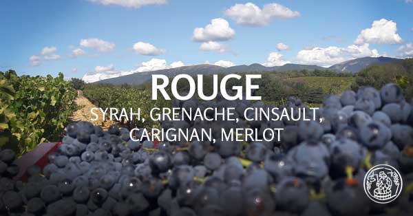 <p><b>Rouge :</b></p> <p><b>Rouge :</b></p>