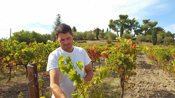 Vignerons Vinsobres