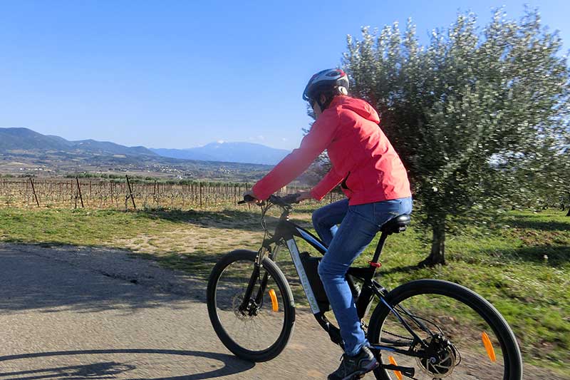 La fête de la vigne et du vin